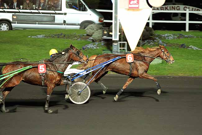 Arrivée quinté pmu PRIX LACHESIS à PARIS-VINCENNES