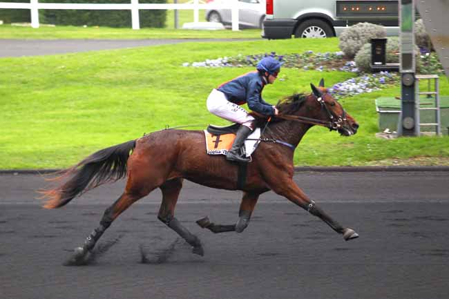 Arrivée quinté pmu PRIX URGENT à PARIS-VINCENNES