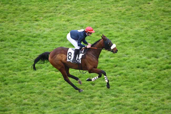 Arrivée quinté pmu PRIX ELSENEUR à AUTEUIL