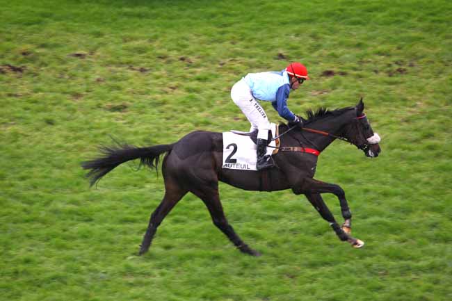 Arrivée quinté pmu PRIX HAMILTON à AUTEUIL