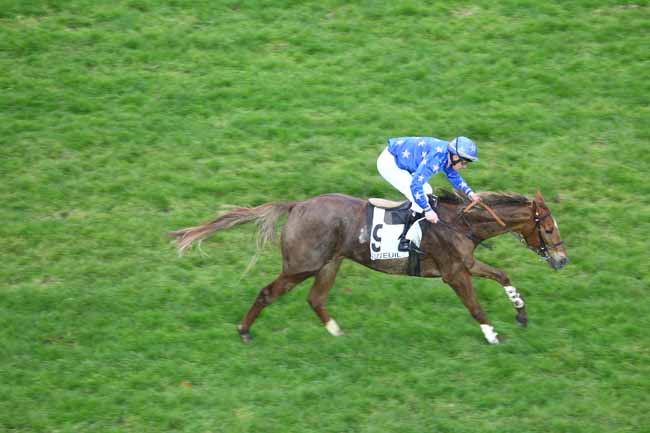 Arrivée quinté pmu PRIX STYRAX à AUTEUIL