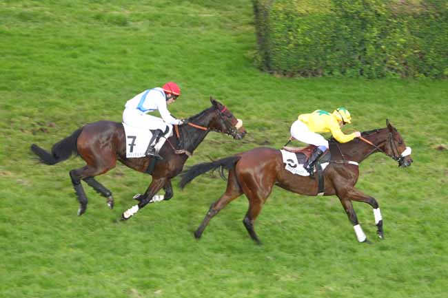 Arrivée quinté pmu PRIX DANDOLO à AUTEUIL