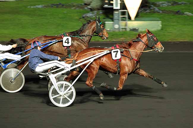 Arrivée quinté pmu PRIX MERCATOR à PARIS-VINCENNES