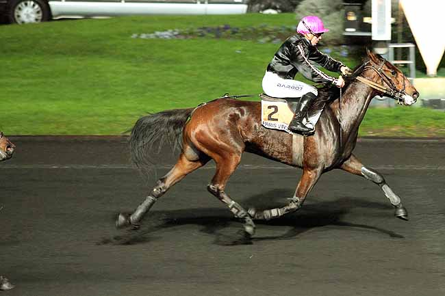 Arrivée quinté pmu PRIX VIBILIA à PARIS-VINCENNES