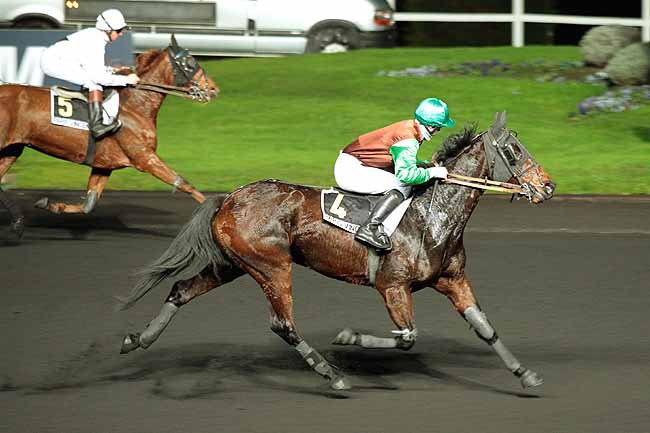 Arrivée quinté pmu PRIX WALPURGA à PARIS-VINCENNES