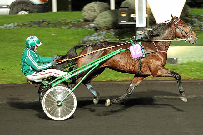 Arrivée quinté pmu PRIX SIWA à PARIS-VINCENNES