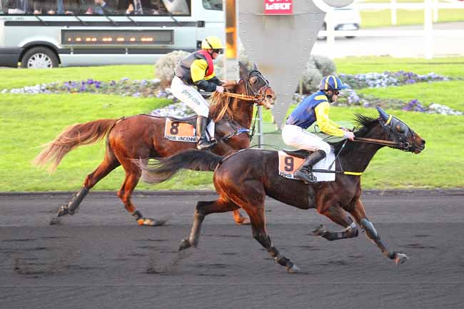 Arrivée quinté pmu PRIX D'ALES à PARIS-VINCENNES