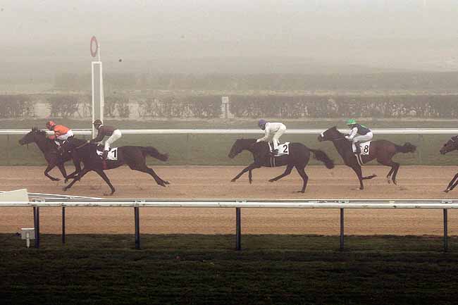 Arrivée quinté pmu PRIX SOLEIL à DEAUVILLE