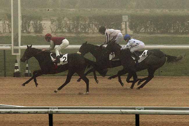 Arrivée quinté pmu PRIX PRINCELINE à DEAUVILLE