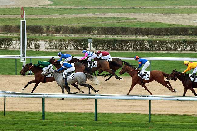 Arrivée quinté pmu PRIX DE MOULINS-LA-MARCHE à DEAUVILLE