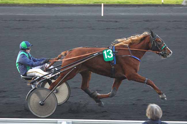 Arrivée quinté pmu PRIX DE MONTARGIS à PARIS-VINCENNES