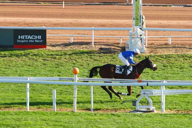 Arrivée quinté pmu PRIX DE LONDRES à CAGNES-SUR-MER