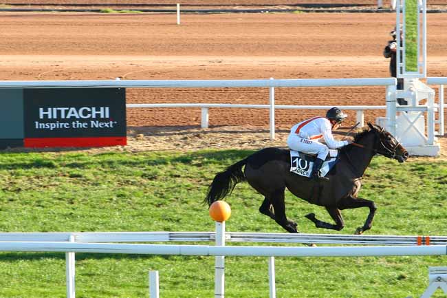 Arrivée quinté pmu PRIX DE GLASGOW à CAGNES-SUR-MER