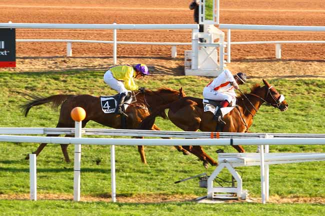 Arrivée quinté pmu PRIX ALAIN DU BREIL à CAGNES-SUR-MER