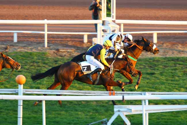 Arrivée quinté pmu PRIX DE CARDIFF à CAGNES-SUR-MER