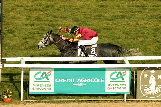 Arrivée quinté pmu PRIX GEORGES PASTRE à PAU