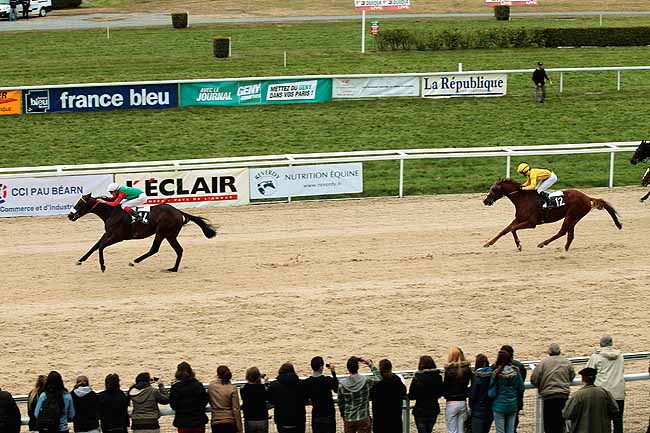 Arrivée quinté pmu PRIX DE BARDOS à PAU