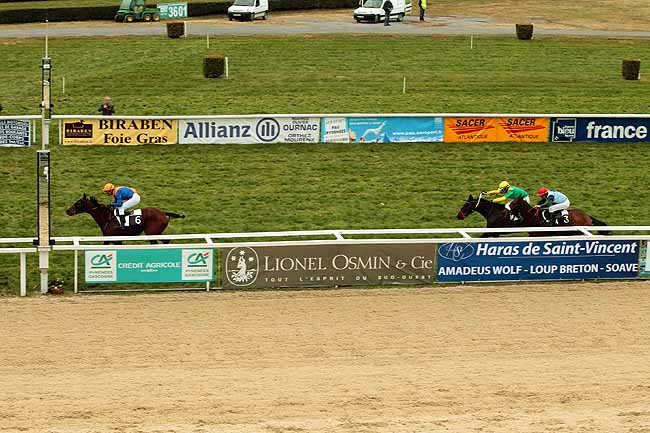 Arrivée quinté pmu PRIX DE L'ASSOCIATION DES PROPRIETAIRES DU SUD-OUEST à PAU