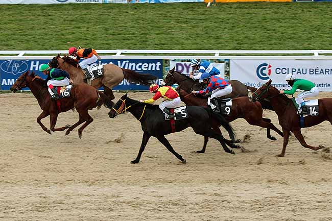 Arrivée quinté pmu PRIX DE LIMENDOUS à PAU