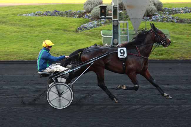 Arrivée quinté pmu PRIX DE SALON DE PROVENCE à PARIS-VINCENNES