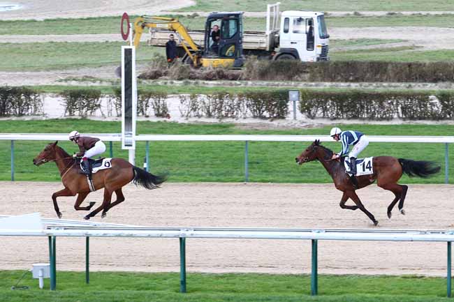 Arrivée quinté pmu PRIX DE MIRANDE à DEAUVILLE