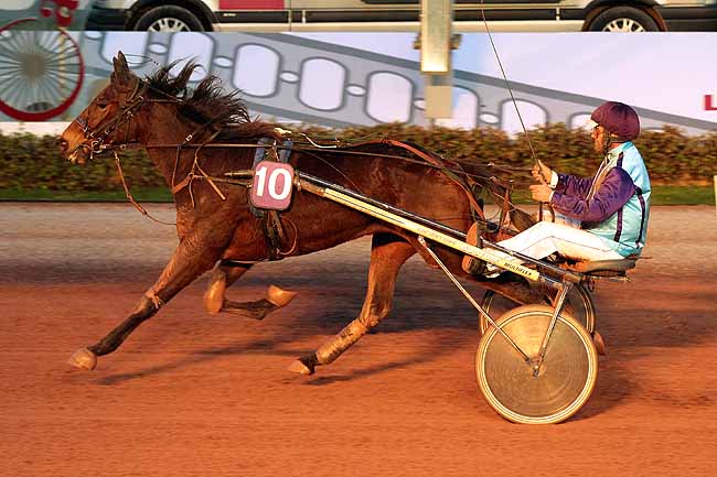 Arrivée quinté pmu PRIX DES ORMES à CABOURG