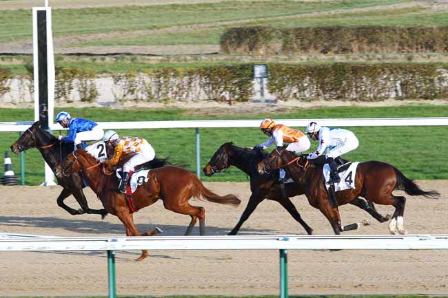 Arrivée quinté pmu PRIX HABITAT à DEAUVILLE