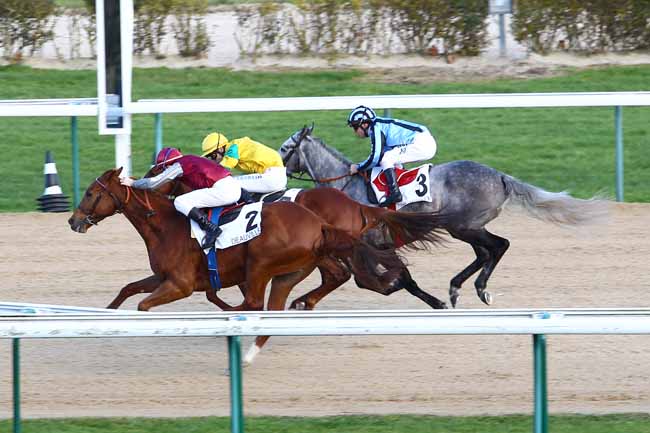 Arrivée quinté pmu PRIX DE ROCQUES à DEAUVILLE