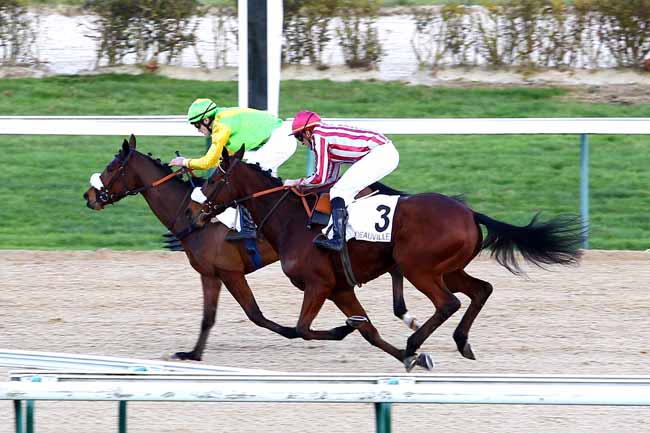 Arrivée quinté pmu PRIX DU HARAS DU PIN à DEAUVILLE