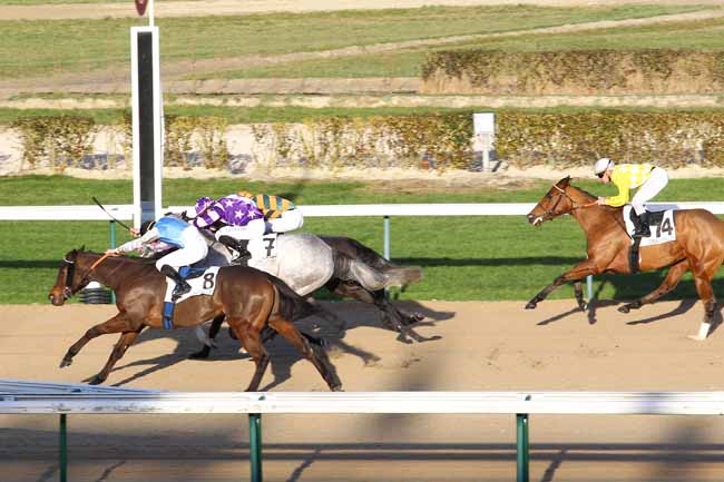 Arrivée quinté pmu PRIX DES MANOIRS à DEAUVILLE