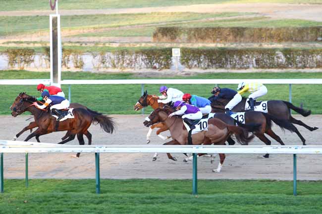 Arrivée quinté pmu PRIX DES COTTAGES à DEAUVILLE
