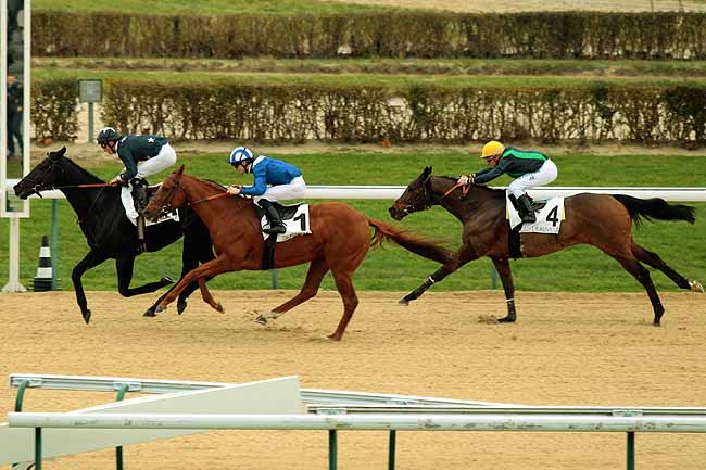 Arrivée quinté pmu PRIX DU CHENET à DEAUVILLE