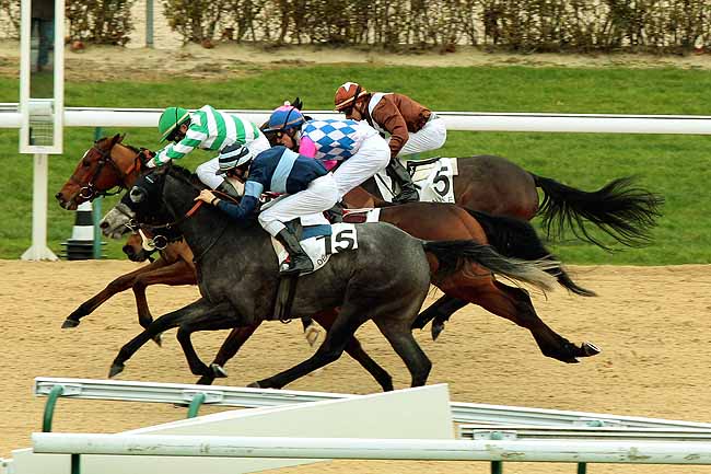 Arrivée quinté pmu PRIX DU HOULBEC à DEAUVILLE