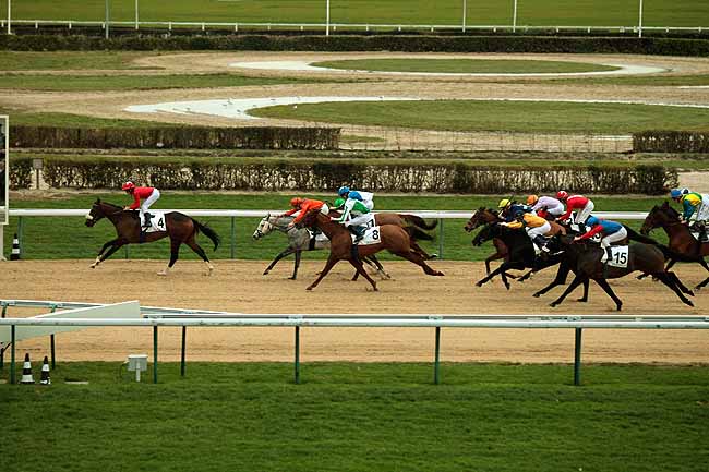 Arrivée quinté pmu PRIX DE LA ROCHE à DEAUVILLE
