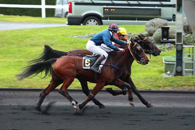 Arrivée quinté pmu PRIX DE SALERS à PARIS-VINCENNES