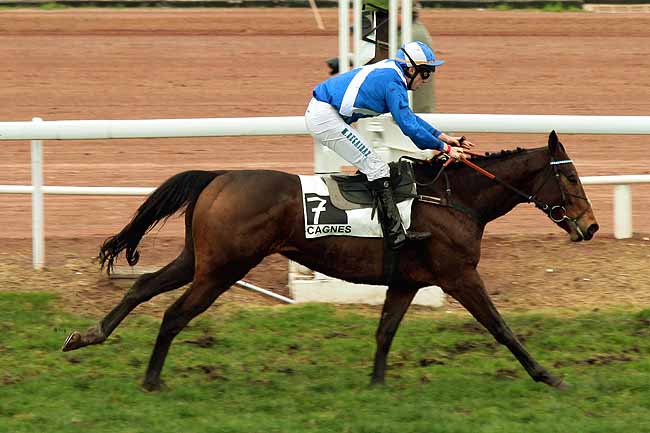 Arrivée quinté pmu PRIX DU PAYS DE LOIRE (PELOTON A) à CAGNES-SUR-MER