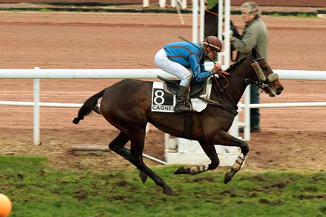 Arrivée quinté pmu PRIX DU PAYS DE LOIRE (PELOTON B) à CAGNES-SUR-MER