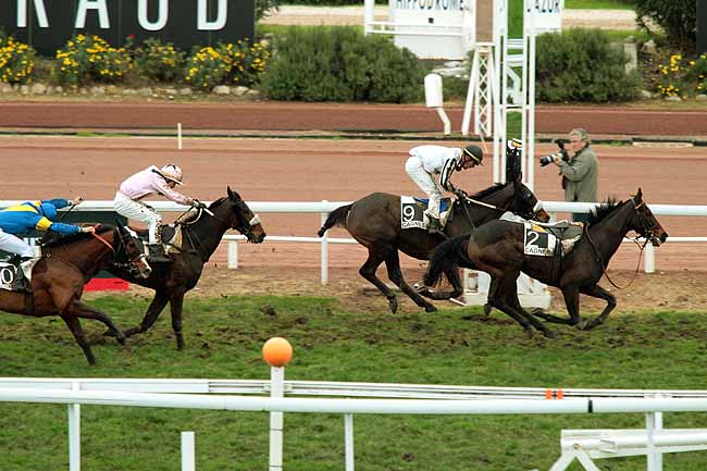 Arrivée quinté pmu PRIX DE LA VENDEE à CAGNES-SUR-MER