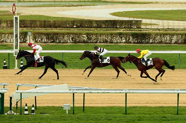 Arrivée quinté pmu PRIX DU GRAND CHENE à DEAUVILLE