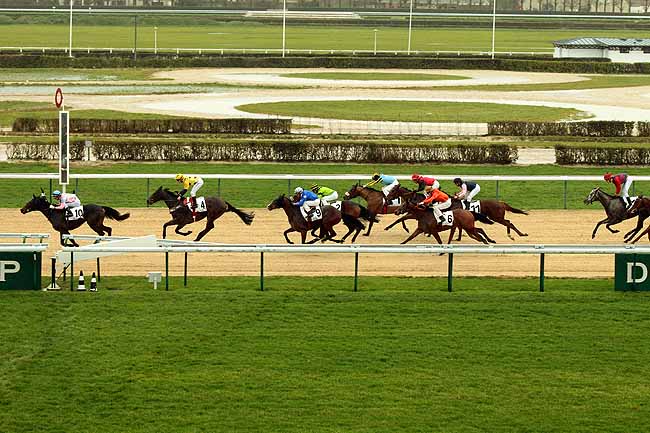 Arrivée quinté pmu PRIX DE LA RIVIERE SAINT-SAUVEUR à DEAUVILLE