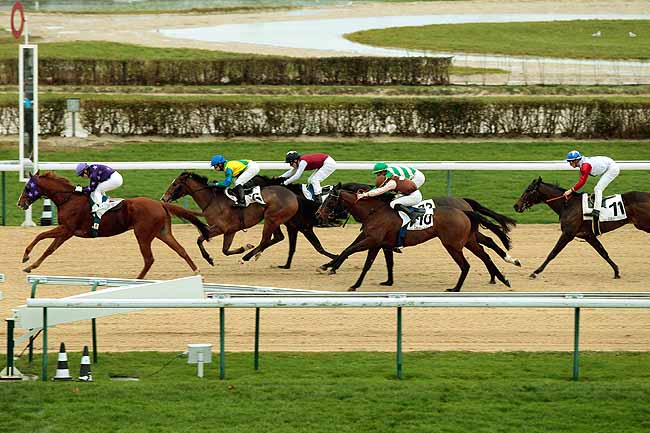 Arrivée quinté pmu PRIX DE SAINT-SAUVEUR-LE-VICOMTE à DEAUVILLE