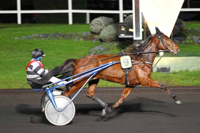 Arrivée quinté pmu PRIX DE PARILLY à PARIS-VINCENNES