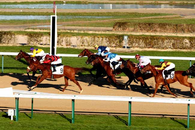 Arrivée quinté pmu PRIX DU TERTRE à DEAUVILLE