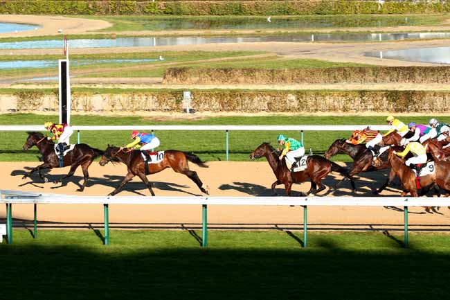 Arrivée quinté pmu PRIX DE LA TORTONNE à DEAUVILLE