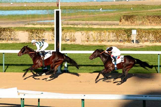 Arrivée quinté pmu PRIX DE MORICAND à DEAUVILLE