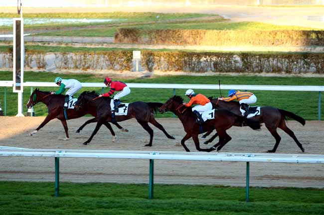 Arrivée quinté pmu PRIX DE BERD'HUIS à DEAUVILLE
