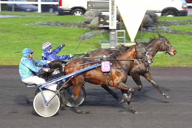 Arrivée quinté pmu PRIX DE SAINT-LEONARD à PARIS-VINCENNES