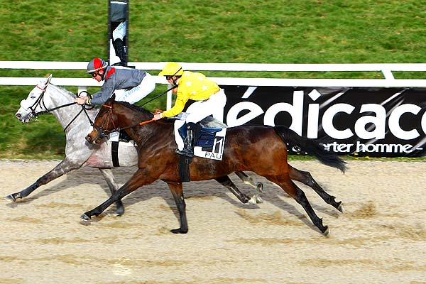 Arrivée quinté pmu PRIX D'ARUDY à PAU