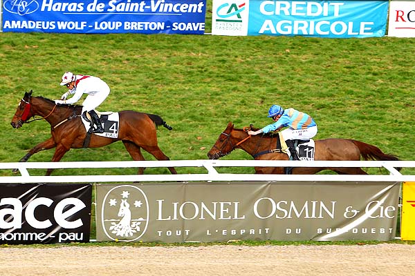 Arrivée quinté pmu PRIX GUILLAUME DE PRACOMTAL à PAU