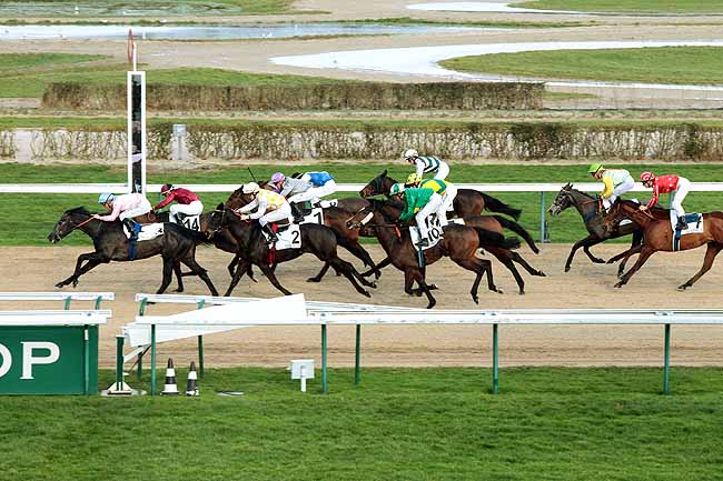 Arrivée quinté pmu PRIX DU BOIS AUX PROUX à DEAUVILLE